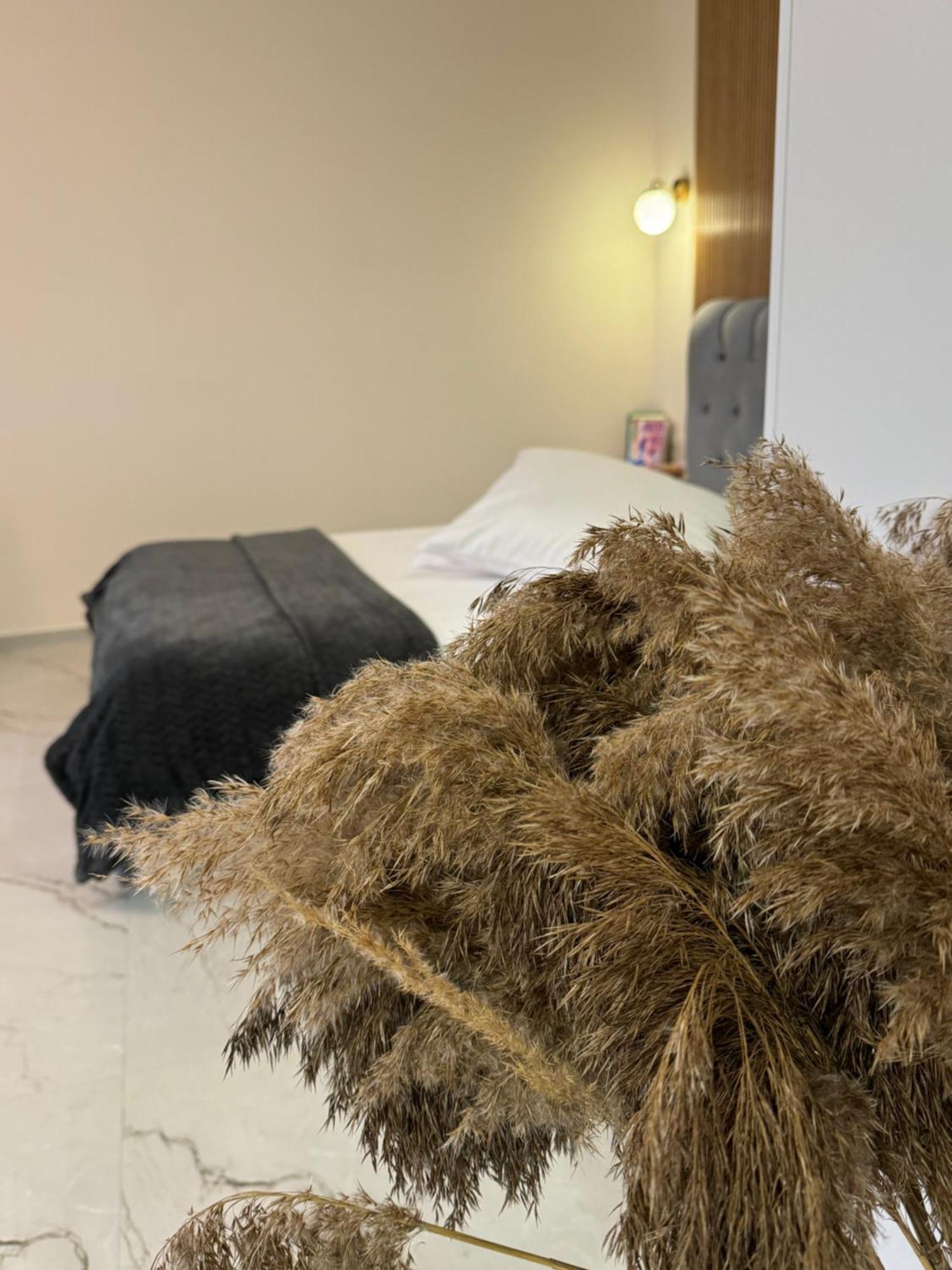 Apartmán Baltic Avenue Klaipėda Exteriér fotografie